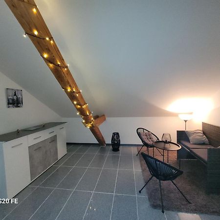 Penthouse N74 Linz 120 Qm Kids Welcome! Екстер'єр фото