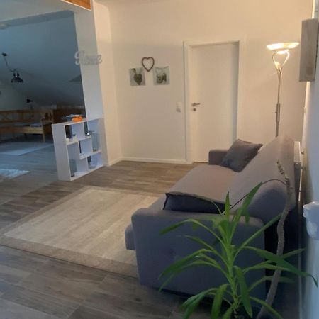 Penthouse N74 Linz 120 Qm Kids Welcome! Екстер'єр фото