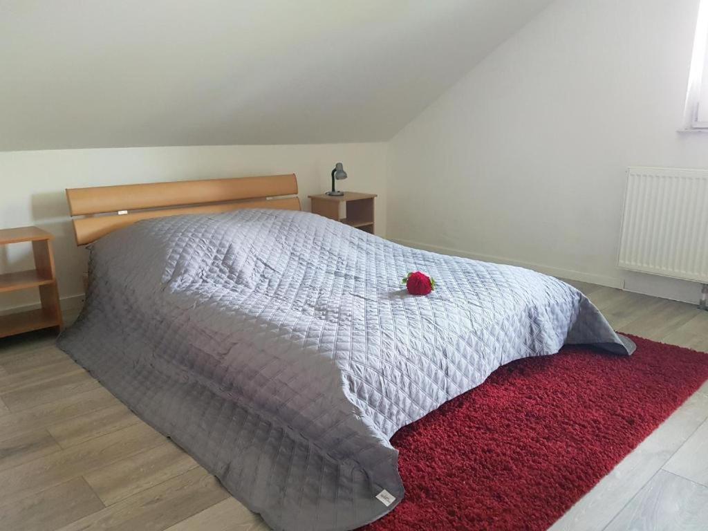 Penthouse N74 Linz 120 Qm Kids Welcome! Екстер'єр фото