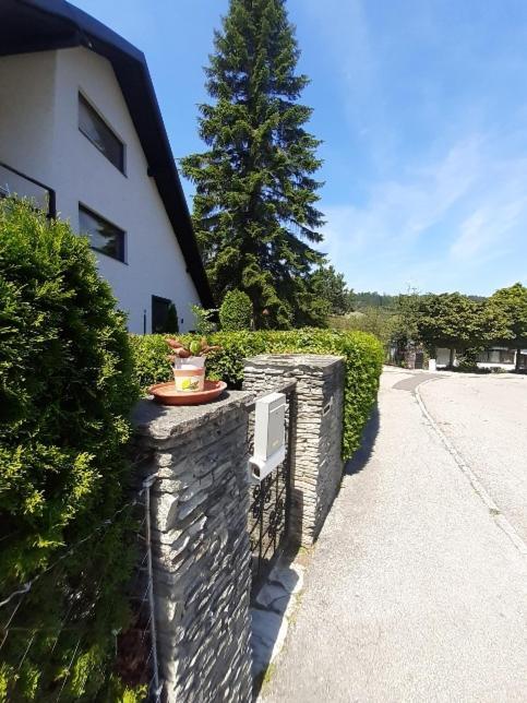 Penthouse N74 Linz 120 Qm Kids Welcome! Екстер'єр фото