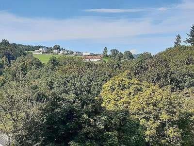 Penthouse N74 Linz 120 Qm Kids Welcome! Екстер'єр фото