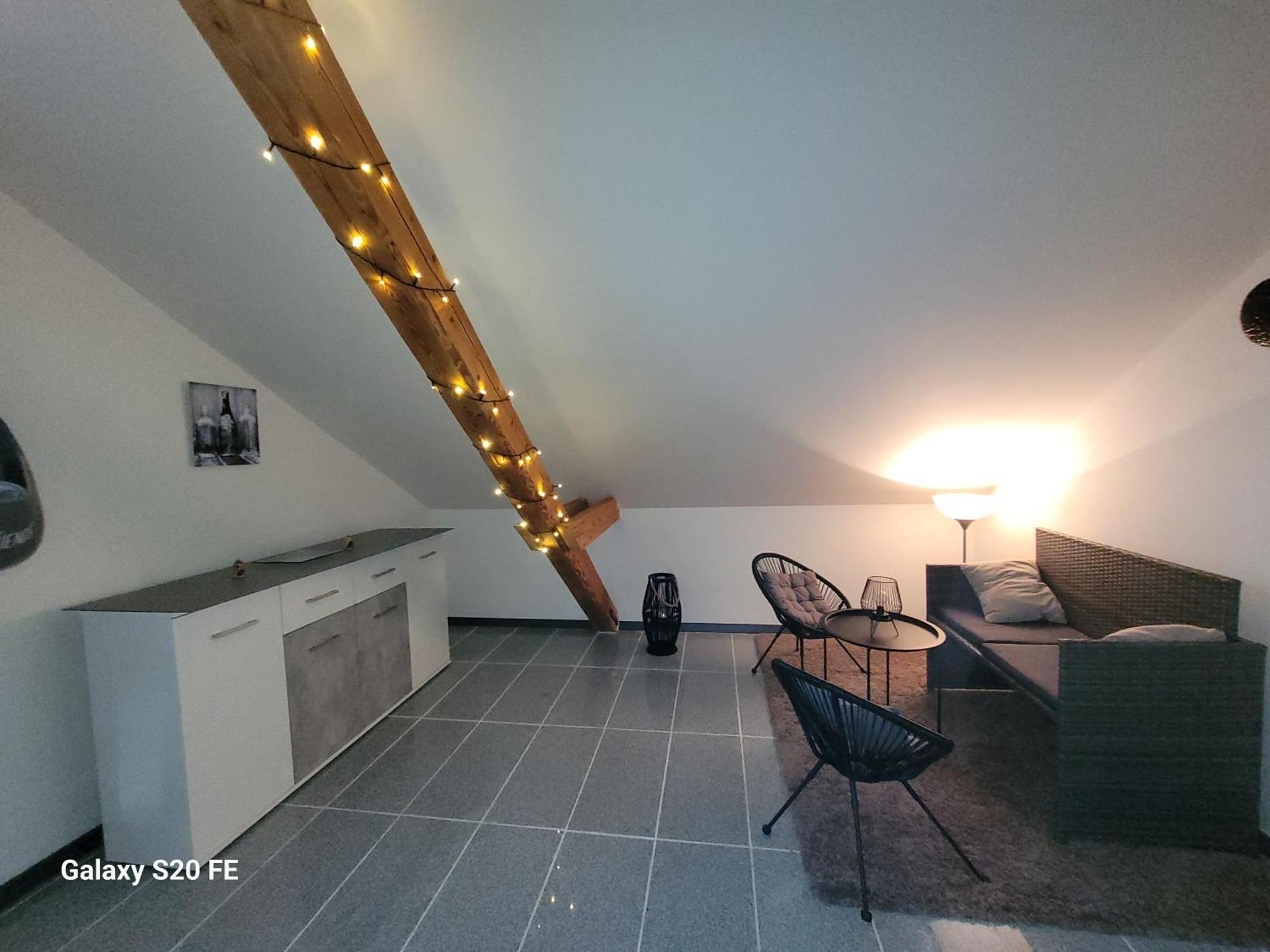 Penthouse N74 Linz 120 Qm Kids Welcome! Екстер'єр фото