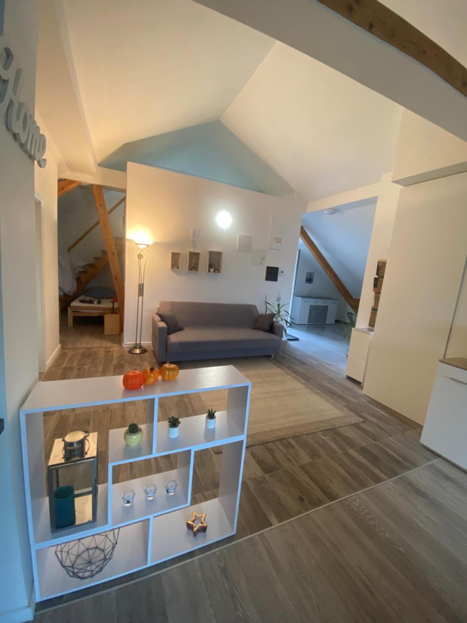 Penthouse N74 Linz 120 Qm Kids Welcome! Екстер'єр фото