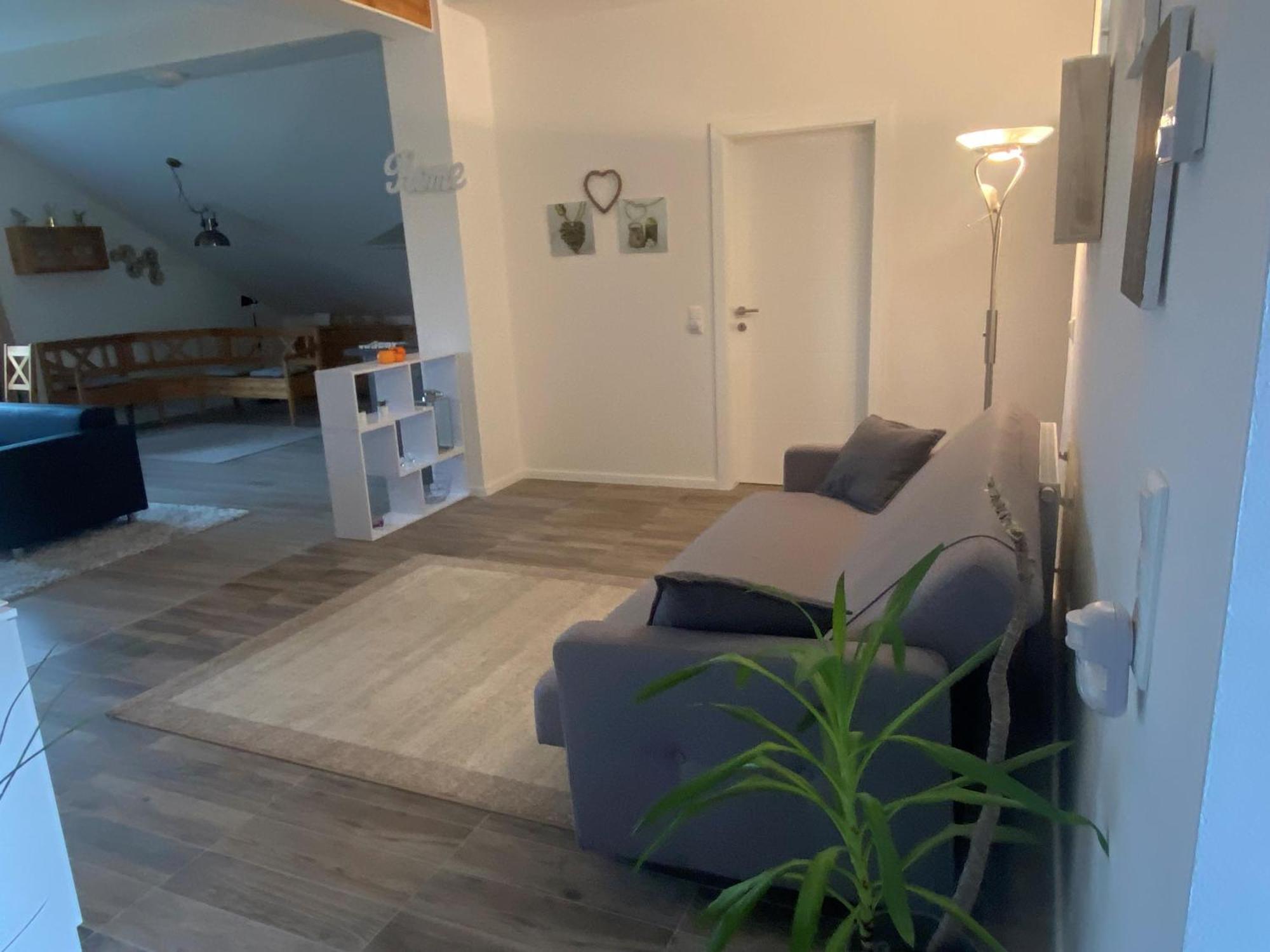 Penthouse N74 Linz 120 Qm Kids Welcome! Екстер'єр фото