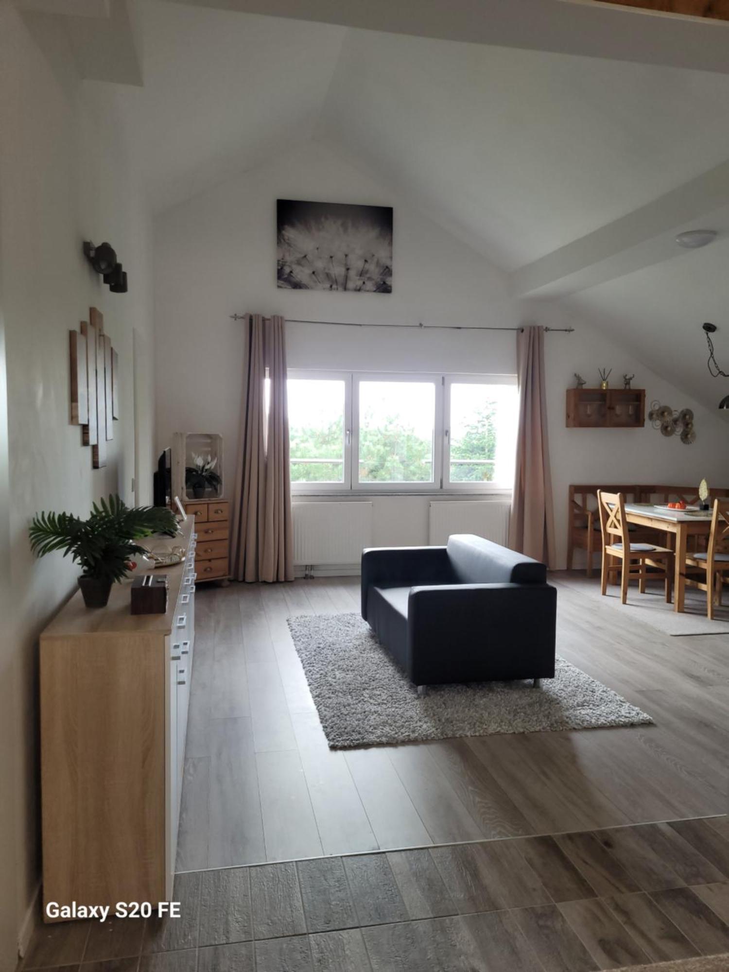 Penthouse N74 Linz 120 Qm Kids Welcome! Екстер'єр фото